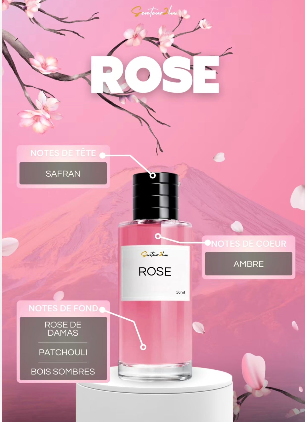 ROSE ESPERENZA